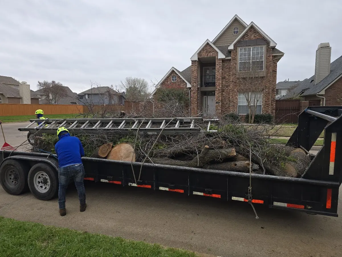 Expert Lot Clearing with proper safety equipment in Parchman